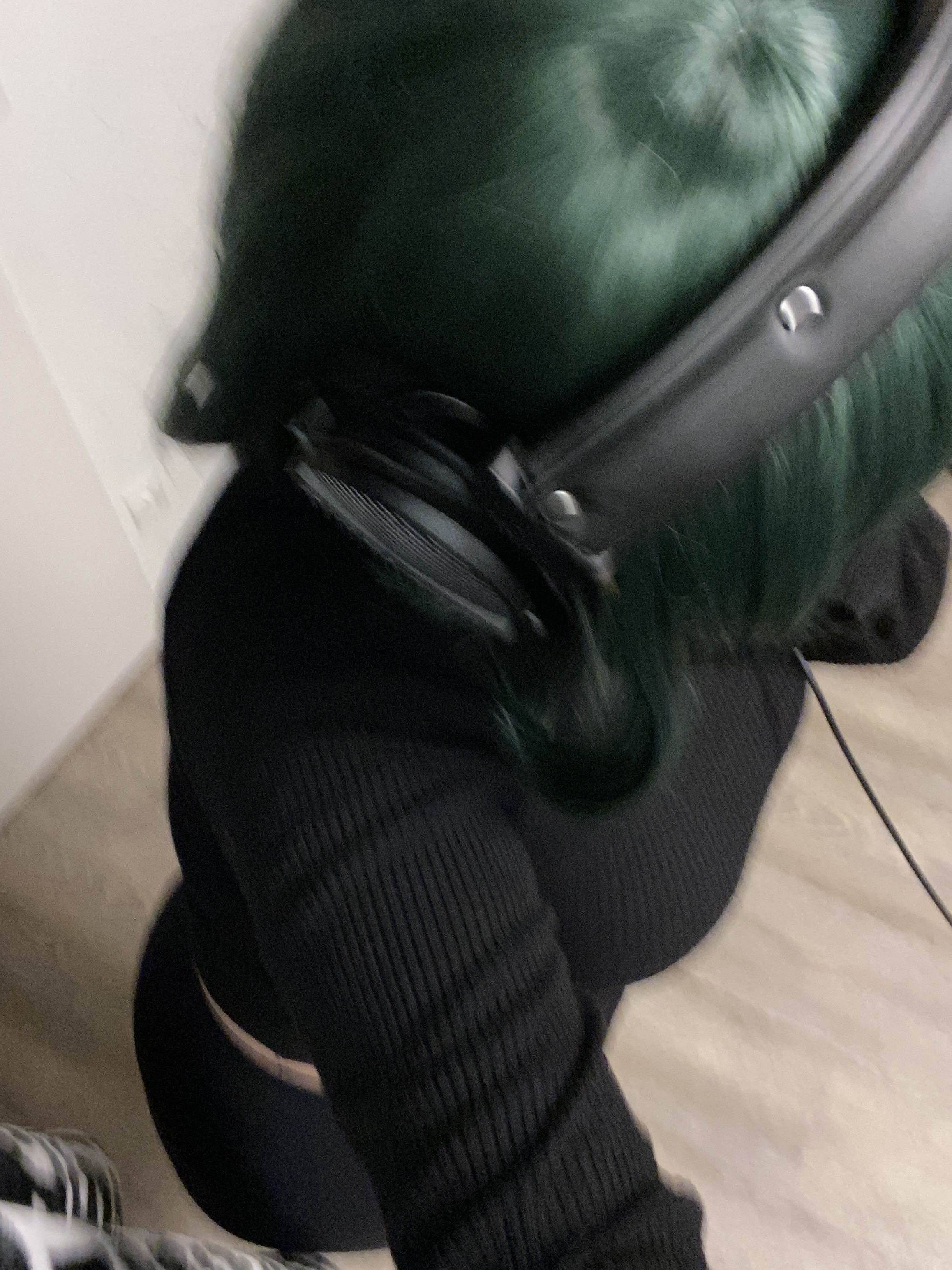 Melissa 5